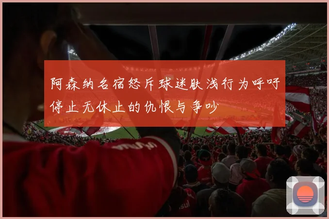 阿森纳名宿怒斥球迷肤浅行为呼吁停止无休止的仇恨与争吵